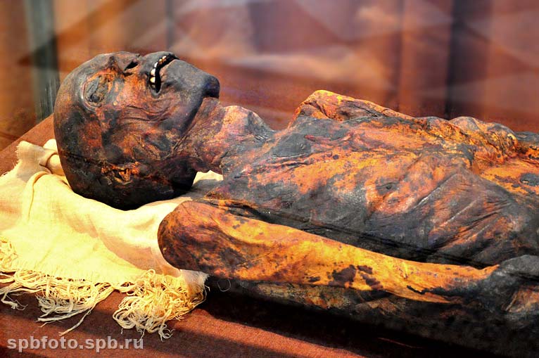 Мумия египетского жреца Па-ди-иста в Эрмитаже